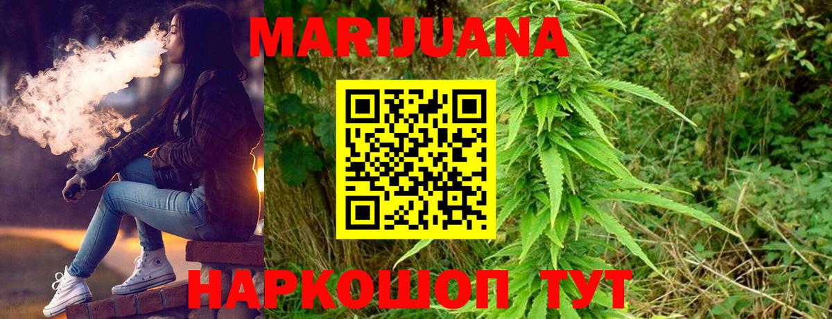 Каннабис сатива Ставрополь